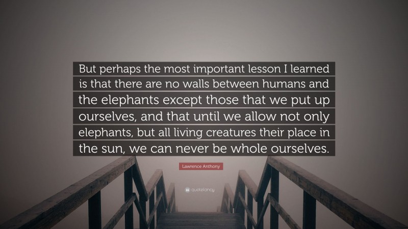 Lawrence Anthony Quote: “But perhaps the most important lesson I learned is that there are no walls between humans and the elephants except those that we put up ourselves, and that until we allow not only elephants, but all living creatures their place in the sun, we can never be whole ourselves.”