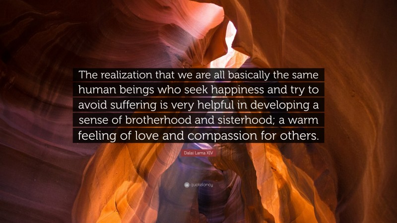 Dalai Lama XIV Quote: “The realization that we are all basically the same human beings who seek happiness and try to avoid suffering is very helpful in developing a sense of brotherhood and sisterhood; a warm feeling of love and compassion for others.”