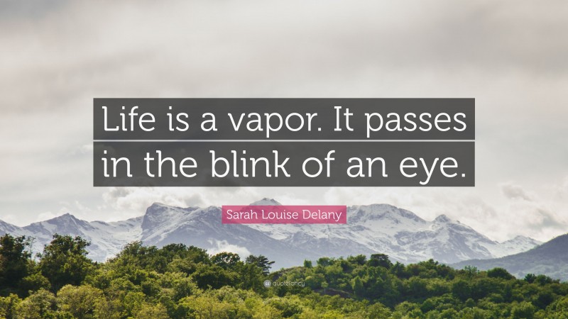 Sarah Louise Delany Quote: “Life is a vapor. It passes in the blink of an eye.”