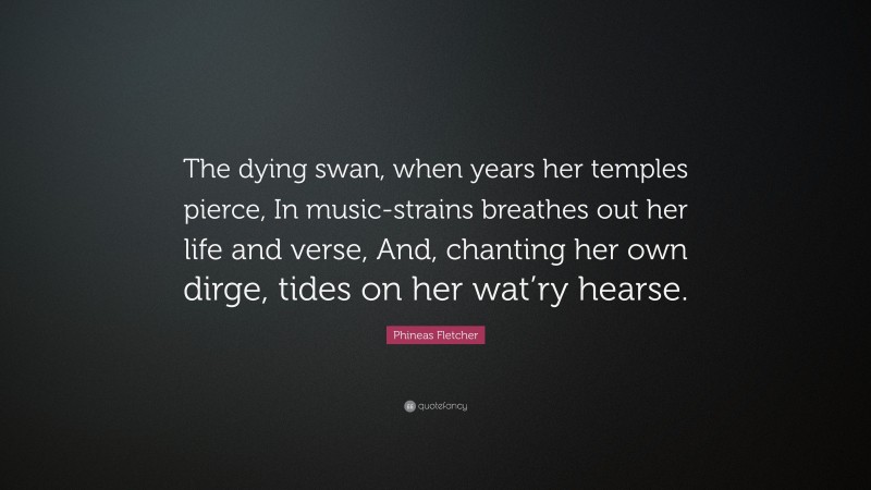 Phineas Fletcher Quote: “The dying swan, when years her temples pierce, In music-strains breathes out her life and verse, And, chanting her own dirge, tides on her wat’ry hearse.”