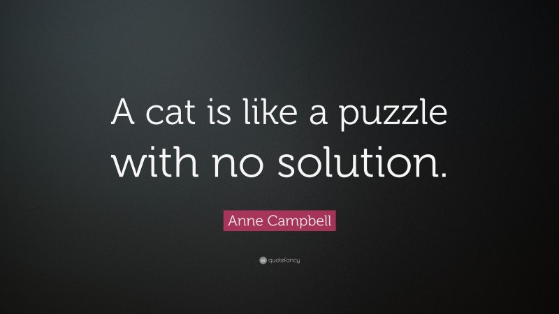 Anne Campbell Quote: “A cat is like a puzzle with no solution.”
