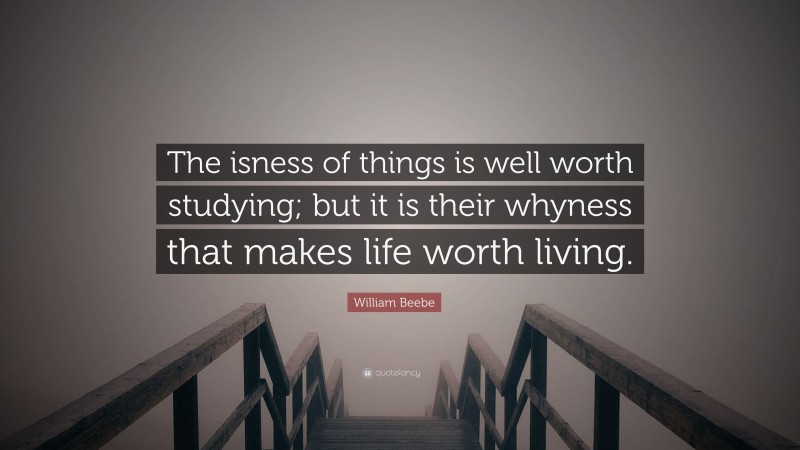 William Beebe Quote: “The isness of things is well worth studying; but it is their whyness that makes life worth living.”