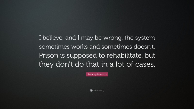 Amaury Nolasco Quote: “I believe, and I may be wrong, the system sometimes works and sometimes doesn’t. Prison is supposed to rehabilitate, but they don’t do that in a lot of cases.”