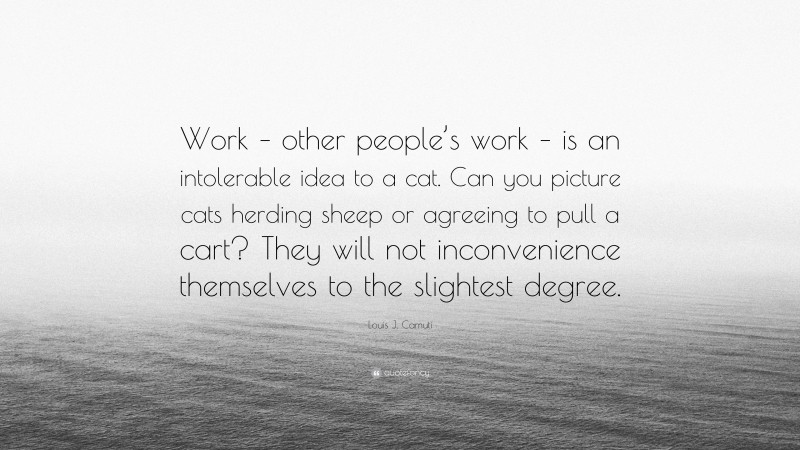 Louis J. Camuti Quote: “Work – other people’s work – is an intolerable idea to a cat. Can you picture cats herding sheep or agreeing to pull a cart? They will not inconvenience themselves to the slightest degree.”
