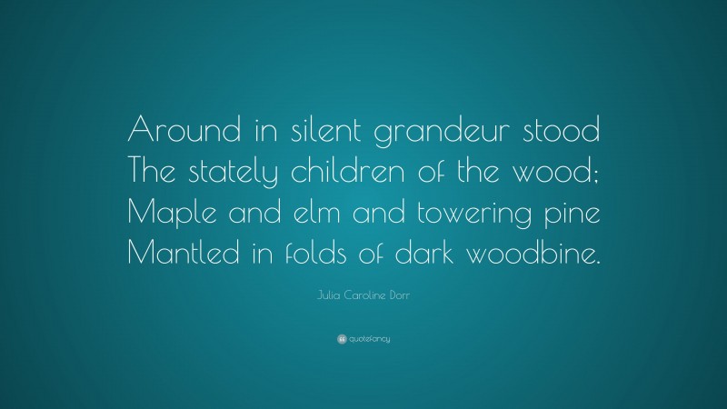 Julia Caroline Dorr Quote: “Around in silent grandeur stood The stately children of the wood; Maple and elm and towering pine Mantled in folds of dark woodbine.”