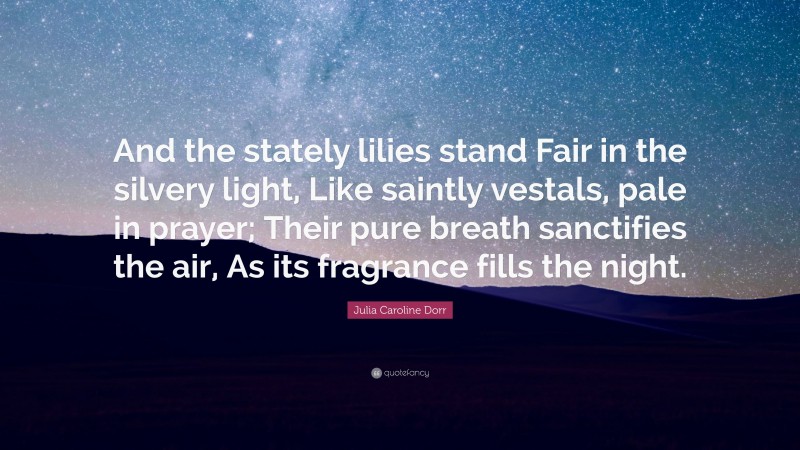 Julia Caroline Dorr Quote: “And the stately lilies stand Fair in the silvery light, Like saintly vestals, pale in prayer; Their pure breath sanctifies the air, As its fragrance fills the night.”