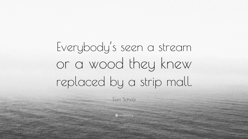Tom Scholz Quote: “Everybody’s seen a stream or a wood they knew replaced by a strip mall.”