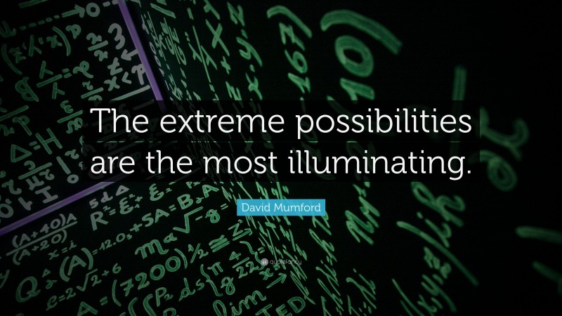 David Mumford Quote: “The extreme possibilities are the most illuminating.”