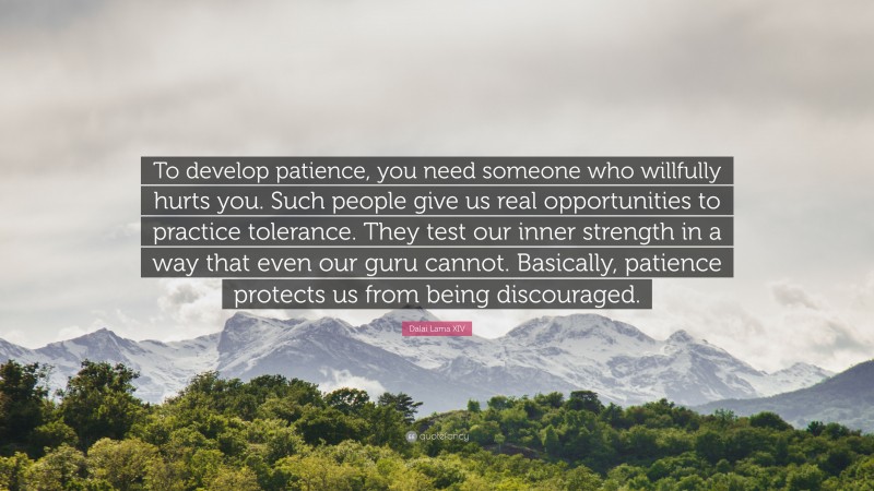 Dalai Lama XIV Quote: “To develop patience, you need someone who willfully hurts you. Such people give us real opportunities to practice tolerance. They test our inner strength in a way that even our guru cannot. Basically, patience protects us from being discouraged.”