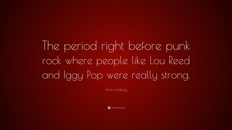 Arto Lindsay Quote: “The period right before punk rock where people like Lou Reed and Iggy Pop were really strong.”