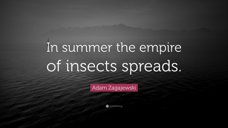 Adam Zagajewski Quote: “In summer the empire of insects spreads.”