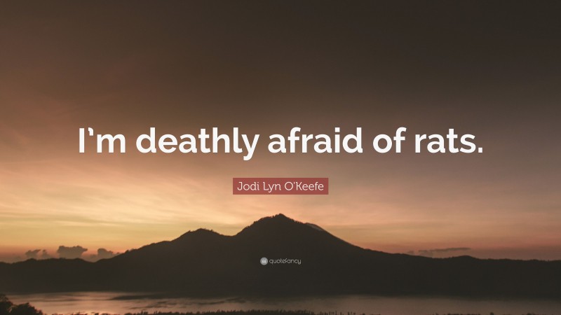 Jodi Lyn O'Keefe Quote: “I’m deathly afraid of rats.”