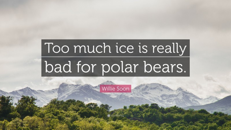 Willie Soon Quote: “Too much ice is really bad for polar bears.”