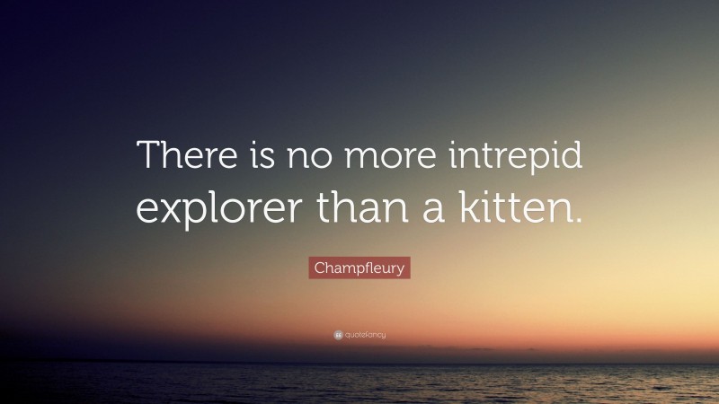 Champfleury Quote: “There is no more intrepid explorer than a kitten.”