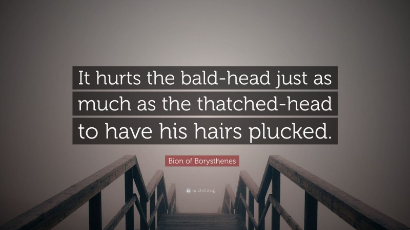 Bion of Borysthenes Quote: “It hurts the bald-head just as much as the thatched-head to have his hairs plucked.”