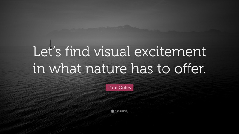 Toni Onley Quote: “Let’s find visual excitement in what nature has to offer.”