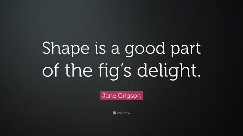 Jane Grigson Quote: “Shape is a good part of the fig’s delight.”