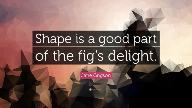 Jane Grigson Quote: “Shape is a good part of the fig’s delight.”