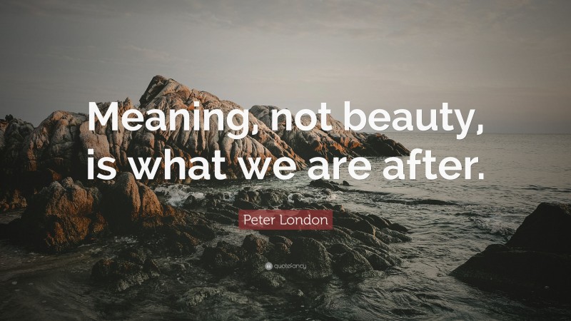 Peter London Quote: “Meaning, not beauty, is what we are after.”