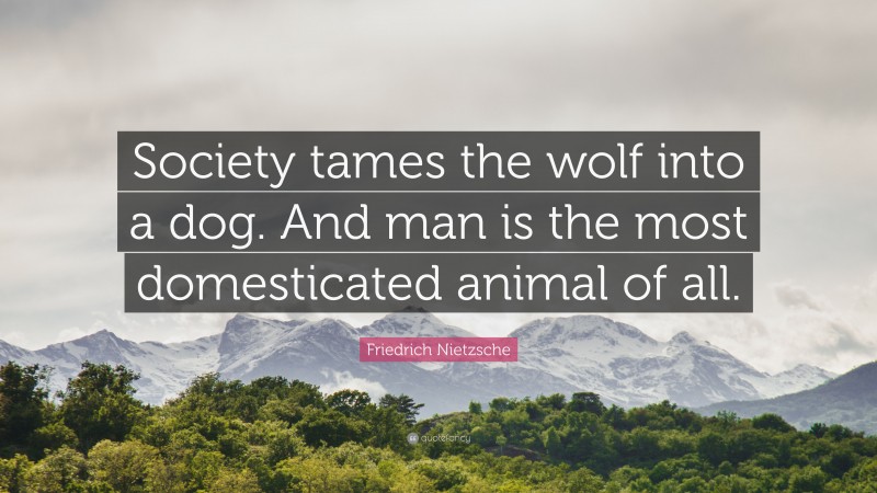 Friedrich Nietzsche Quote: “Society tames the wolf into a dog. And man is the most domesticated animal of all.”