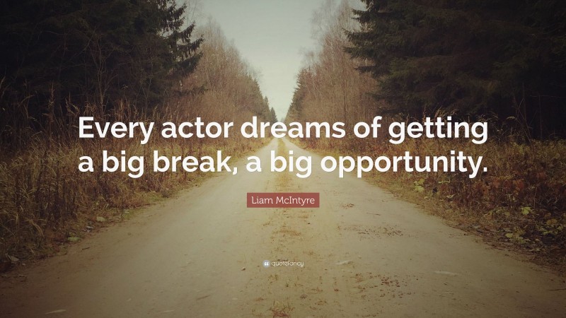 Liam McIntyre Quote: “Every actor dreams of getting a big break, a big opportunity.”