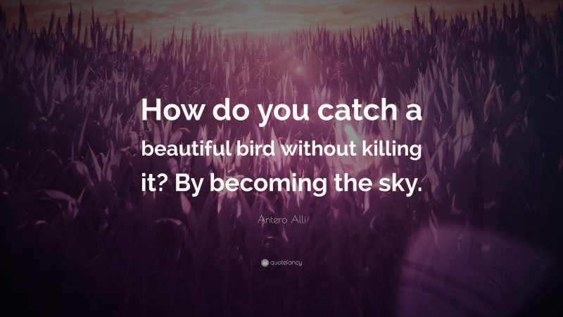 Antero Alli Quote: “How do you catch a beautiful bird without killing it? By becoming the sky.”