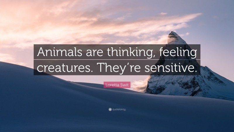 Loretta Swit Quote: “Animals are thinking, feeling creatures. They’re sensitive.”