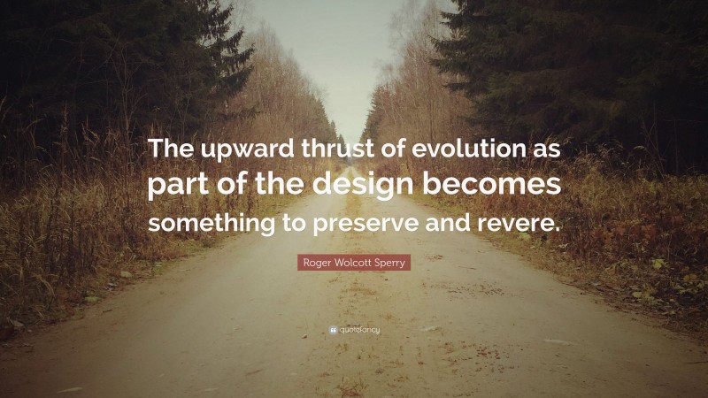 Roger Wolcott Sperry Quote: “The upward thrust of evolution as part of the design becomes something to preserve and revere.”