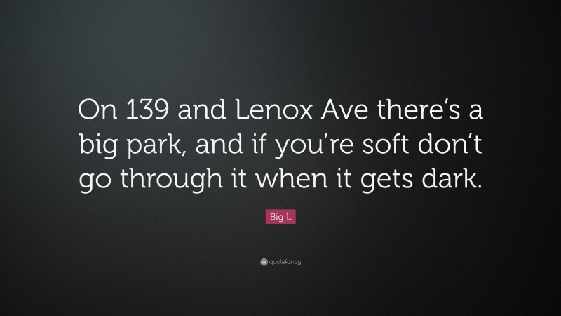 Big L Quote: “On 139 and Lenox Ave there’s a big park, and if you’re soft don’t go through it when it gets dark.”