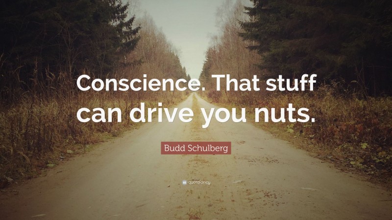 Budd Schulberg Quote: “Conscience. That stuff can drive you nuts.”
