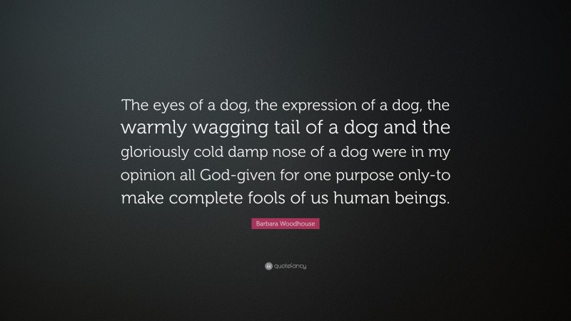 Barbara Woodhouse Quote: “The eyes of a dog, the expression of a dog, the warmly wagging tail of a dog and the gloriously cold damp nose of a dog were in my opinion all God-given for one purpose only-to make complete fools of us human beings.”