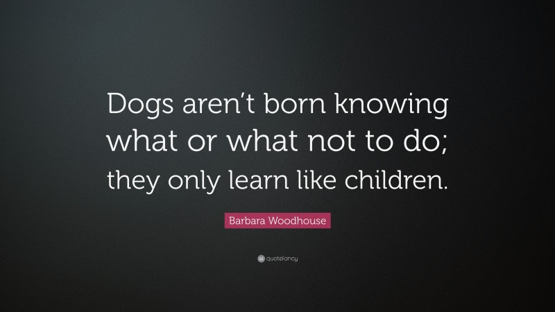 Barbara Woodhouse Quote: “Dogs aren’t born knowing what or what not to do; they only learn like children.”