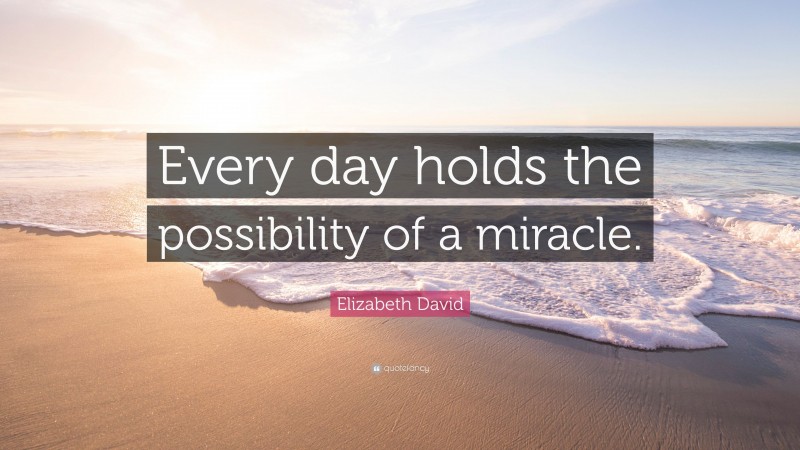Elizabeth David Quote: “Every day holds the possibility of a miracle.”