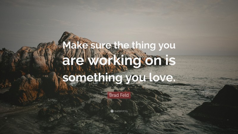 Brad Feld Quote: “Make sure the thing you are working on is something you love.”