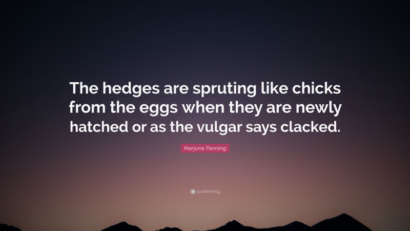 Marjorie Fleming Quote: “The hedges are spruting like chicks from the eggs when they are newly hatched or as the vulgar says clacked.”
