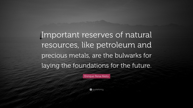 Enrique Pena Nieto Quote: “Important reserves of natural resources, like petroleum and precious metals, are the bulwarks for laying the foundations for the future.”