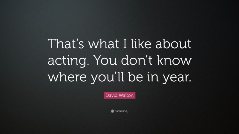 David Walton Quote: “That’s what I like about acting. You don’t know where you’ll be in year.”