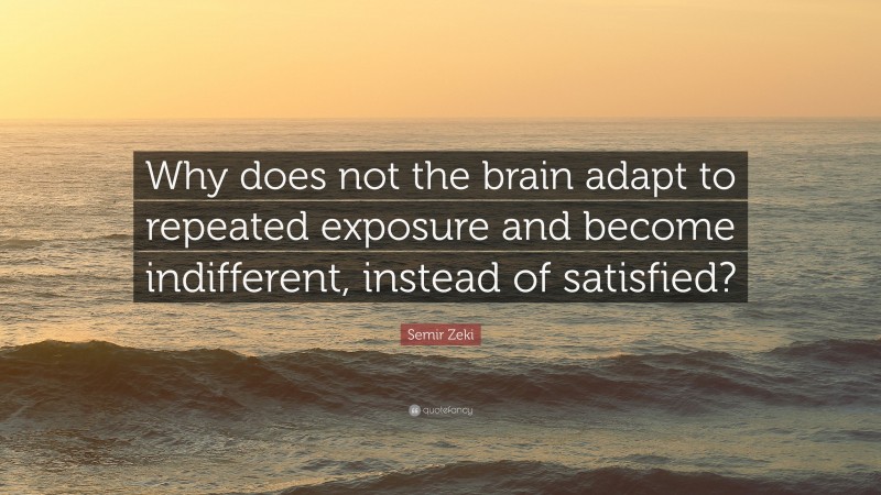 Semir Zeki Quote: “Why does not the brain adapt to repeated exposure and become indifferent, instead of satisfied?”