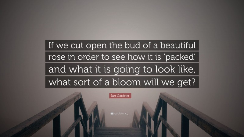 Ian Gardner Quote: “If we cut open the bud of a beautiful rose in order to see how it is ‘packed’ and what it is going to look like, what sort of a bloom will we get?”