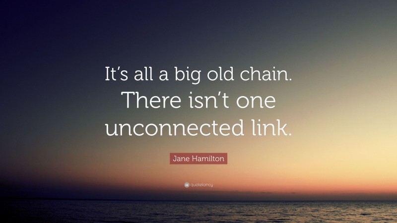 Jane Hamilton Quote: “It’s all a big old chain. There isn’t one unconnected link.”