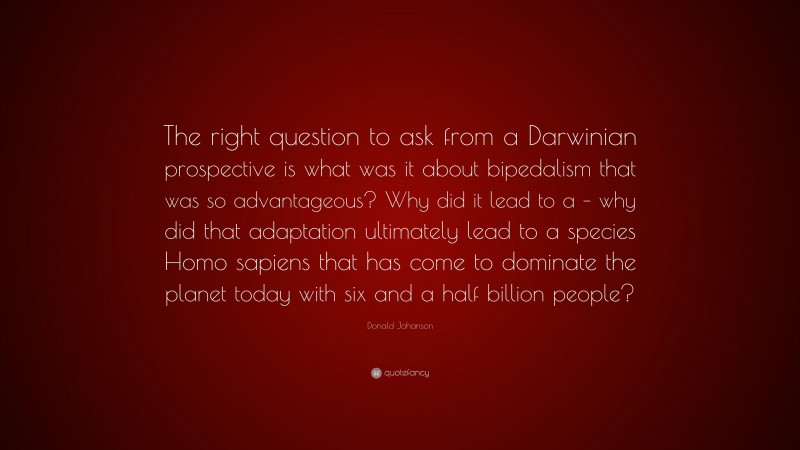 Donald Johanson Quote: “The right question to ask from a Darwinian prospective is what was it about bipedalism that was so advantageous? Why did it lead to a – why did that adaptation ultimately lead to a species Homo sapiens that has come to dominate the planet today with six and a half billion people?”