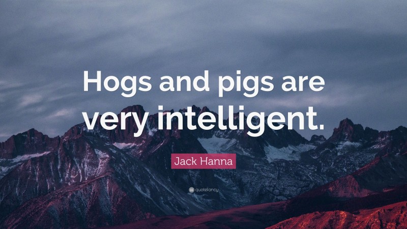 Jack Hanna Quote: “Hogs and pigs are very intelligent.”