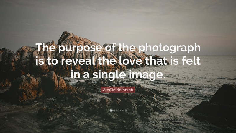 Amélie Nothomb Quote: “The purpose of the photograph is to reveal the love that is felt in a single image.”