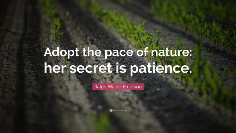 Ralph Waldo Emerson Quote: “Adopt the pace of nature: her secret is patience.”