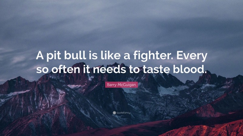 Barry McGuigan Quote: “A pit bull is like a fighter. Every so often it needs to taste blood.”
