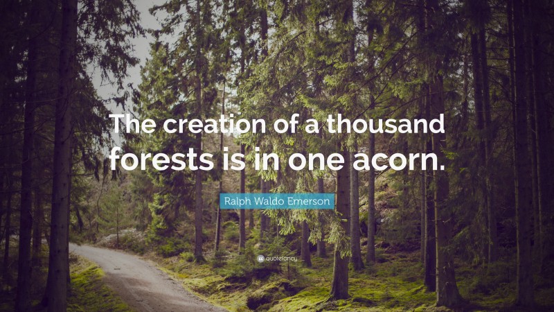 Ralph Waldo Emerson Quote: “The creation of a thousand forests is in one acorn.”