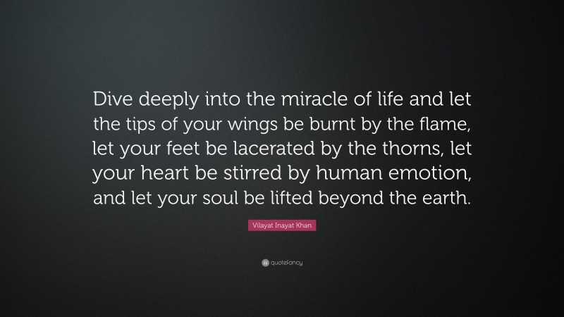 Vilayat Inayat Khan Quote: “Dive deeply into the miracle of life and let the tips of your wings be burnt by the flame, let your feet be lacerated by the thorns, let your heart be stirred by human emotion, and let your soul be lifted beyond the earth.”