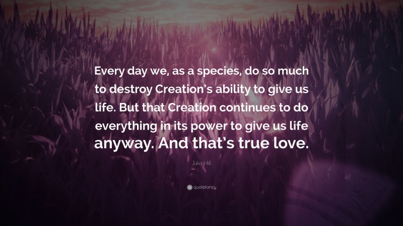 Julia Hill Quote: “Every day we, as a species, do so much to destroy Creation’s ability to give us life. But that Creation continues to do everything in its power to give us life anyway. And that’s true love.”