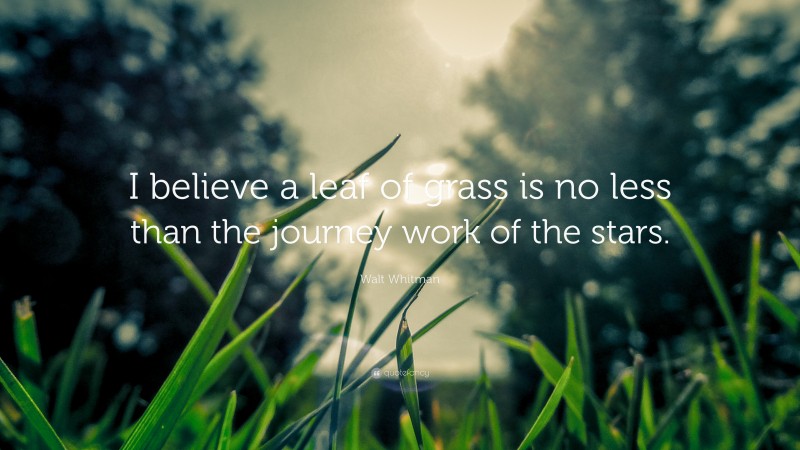 Walt Whitman Quote: “I believe a leaf of grass is no less than the journey work of the stars.”