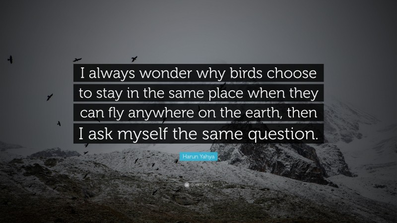 Harun Yahya Quote: “I always wonder why birds choose to stay in the same place when they can fly anywhere on the earth, then I ask myself the same question.”